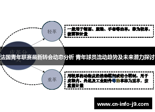 法国青年联赛最新转会动态分析 青年球员流动趋势及未来潜力探讨