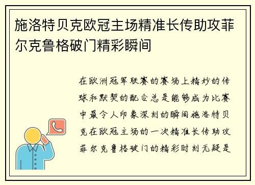 施洛特贝克欧冠主场精准长传助攻菲尔克鲁格破门精彩瞬间